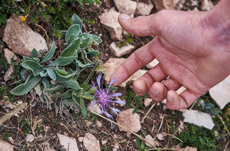 media.hotelpolsa_escursioni11