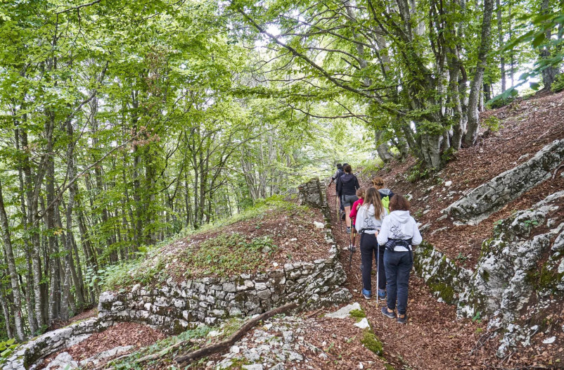 media.hotelpolsa_nordic10