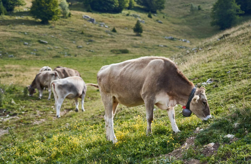 media.hotelpolsa_nordic14